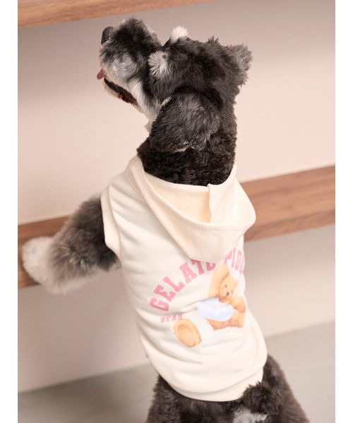 GELATOPIQUECAT & DOG 【CAT & DOG】スポーティーベア裏毛プルオーバー IVR M GELATOPIQUECAT & DOG 【CAT & DOG】スポーティーベア裏毛プルオーバー IVR M