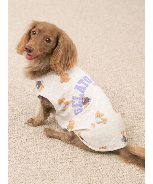 GELATOPIQUECAT & DOG 【CAT & DOG】スポーティーベア柄カットソープルオーバー GRY M GELATOPIQUECAT & DOG 【CAT & DOG】スポーティーベア柄カットソープルオーバー GRY M