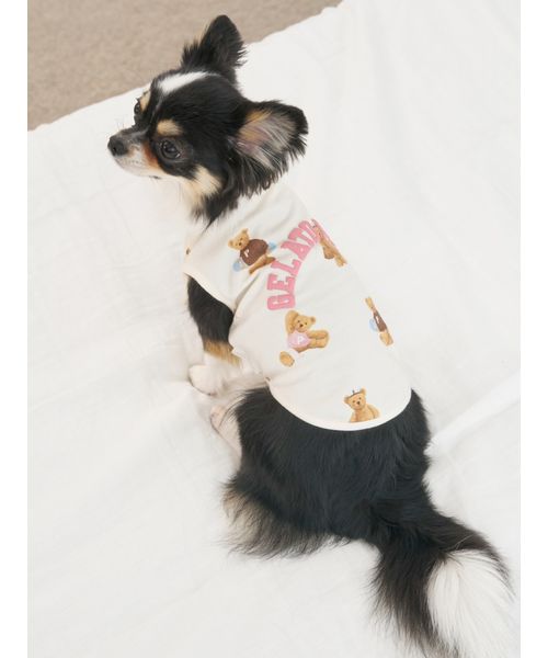 GELATOPIQUECAT & DOG 【CAT & DOG】スポーティーベア柄カットソープルオーバー IVR M GELATOPIQUECAT & DOG 【CAT & DOG】スポーティーベア柄カットソープルオーバー IVR M