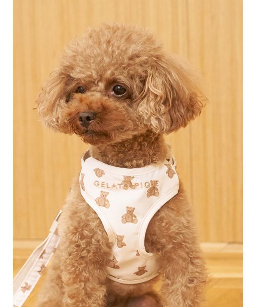 GELATOPIQUECAT & DOG 【CAT & DOG】背中あきハーネス BRW L GELATOPIQUECAT & DOG 【CAT & DOG】背中あきハーネス BRW L