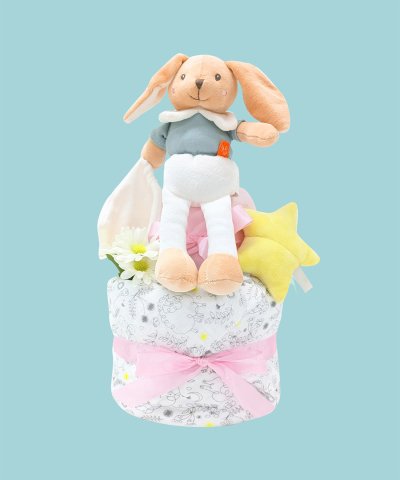 ダイパーケーキ【返品不可商品】