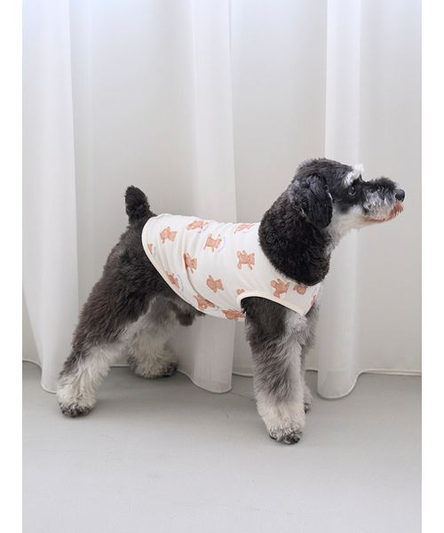 美品　ホリデー ベア　Vネックプルオーバー＆ショートパンツ　セット CAT&DOG】ベア柄プルオーバー(508482594)｜阪急百貨店公式通販