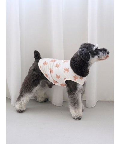 【CAT&DOG】ベア柄プルオーバー