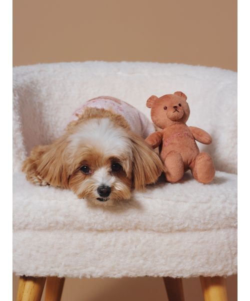 GELATOPIQUECAT & DOG 【CAT & DOG】ベアトイ BRW F GELATOPIQUECAT & DOG 【CAT & DOG】ベアトイ BRW F