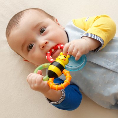 サッシー Sassy カミカミみつばち【返品不可商品】