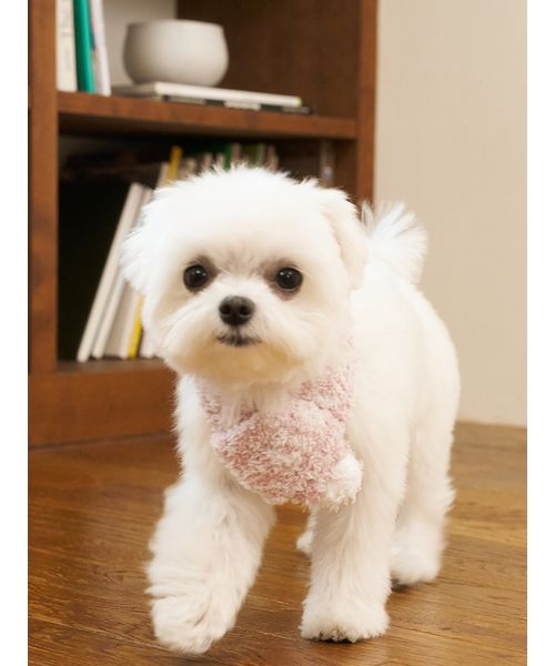 GELATOPIQUECAT & DOG 【CAT & DOG】ジェラートメランジマフラー PNK L GELATOPIQUECAT & DOG 【CAT & DOG】ジェラートメランジマフラー PNK L