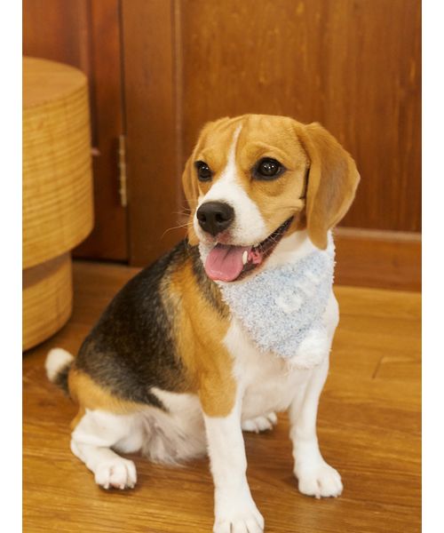 GELATOPIQUECAT & DOG 【CAT & DOG】ジェラートメランジマフラー BLU M GELATOPIQUECAT & DOG 【CAT & DOG】ジェラートメランジマフラー BLU M