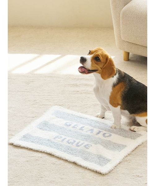 GELATOPIQUECAT & DOG 【CAT & DOG】ジェラートメランジ2ボーダーブランケット BLU F GELATOPIQUECAT & DOG 【CAT & DOG】ジェラートメランジ2ボーダーブランケット BLU F