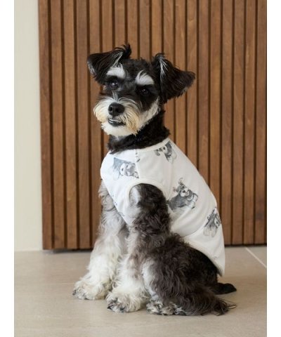 【CAT&DOG】シュナウザー柄カットソープルオーバー