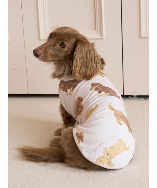 GELATOPIQUECAT & DOG 【CAT & DOG】ダックスフンド柄カットソープルオーバー PNK DL GELATOPIQUECAT & DOG 【CAT & DOG】ダックスフンド柄カットソープルオーバー PNK DL