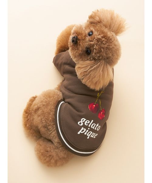 GELATOPIQUECAT & DOG 【CAT & DOG】チェリー柄裏毛 BRW L GELATOPIQUECAT & DOG 【CAT & DOG】チェリー柄裏毛 BRW L