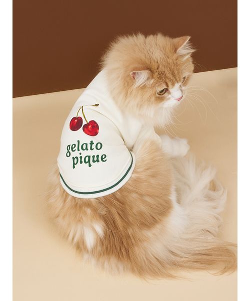 GELATOPIQUECAT & DOG 【CAT & DOG】チェリー柄裏毛 OWHT M GELATOPIQUECAT & DOG 【CAT & DOG】チェリー柄裏毛 OWHT M