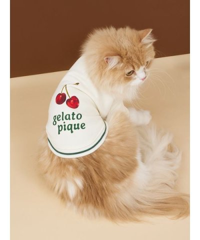 【CAT&DOG】チェリー柄裏毛