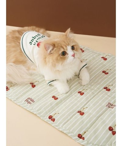 【CAT&DOG】チェリー柄カフェマット