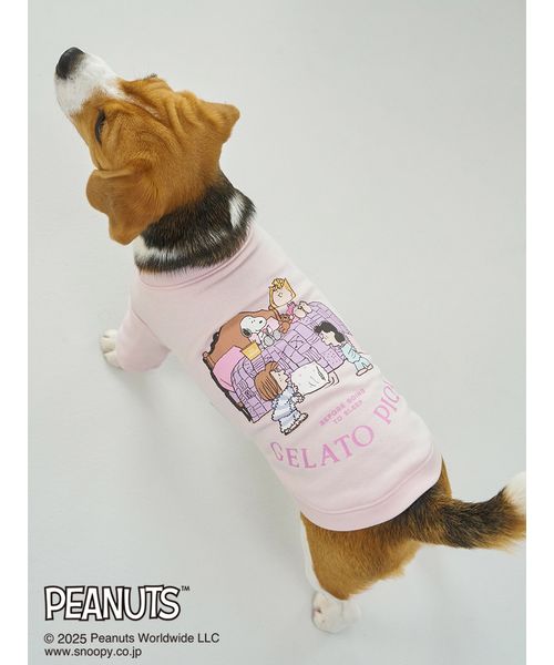GELATOPIQUECAT & DOG 【PEANUTS】【CAT & DOG】ラージサイズ オリジナルアート 裏毛プルオー PNK XL