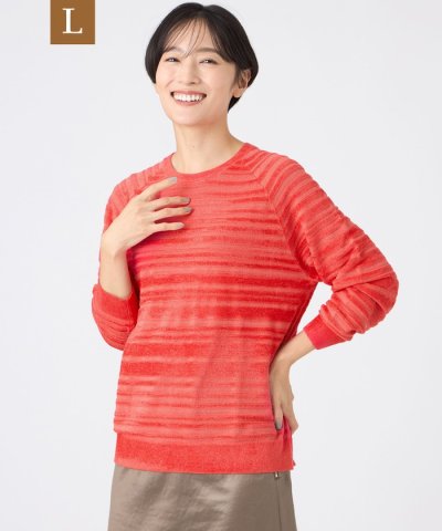 【L】【カタログ掲載】【ウォッシャブル】モールボーダーニットプルオーバー