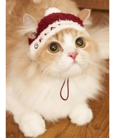 【HOLIDAY】【CAT&DOG】ベビモコサンタニットキャップ