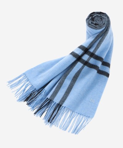 【Precious12月号】Wウィンドペンカシミヤストール