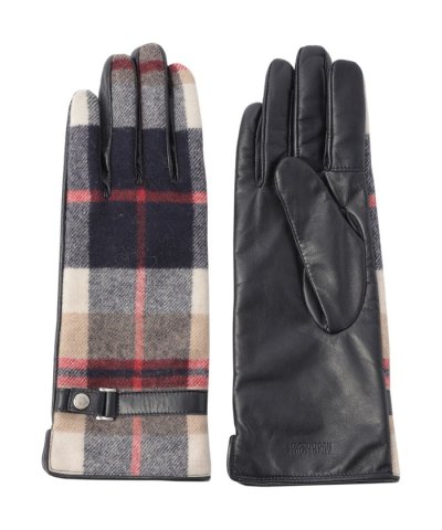 ハウスチェックグローブ