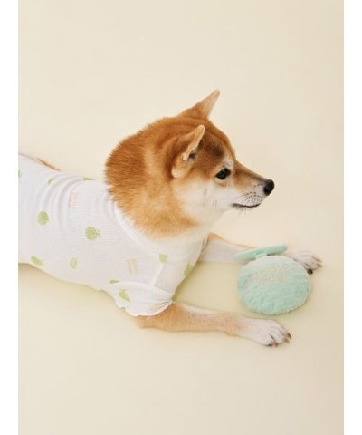 【CAT&DOG】フルーツトイ