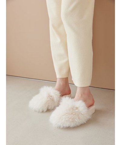 キャットファールームシューズ