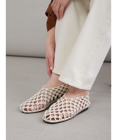 メッシュバレエ