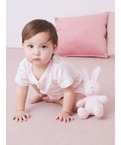 【販路限定】【BABY】パウダーアニマルぬいぐるみ