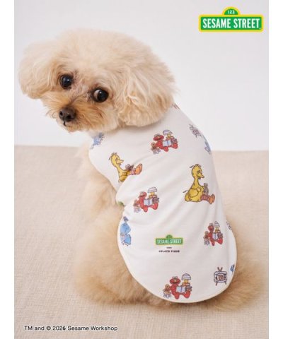 【SESAME STREET】【CAT＆DOG】カットソープルオーバー