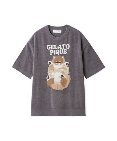 【ONLINE限定カラーあり】【HOMME】ドッグジャガードプルオーバー