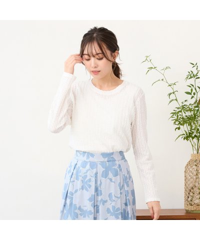 ピサーノ PISANO 【手洗いOK】シアーレース・クルーネックカットソー