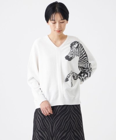 【ウォッシャブル】ゼブラインターシャドルマンスリーブニット