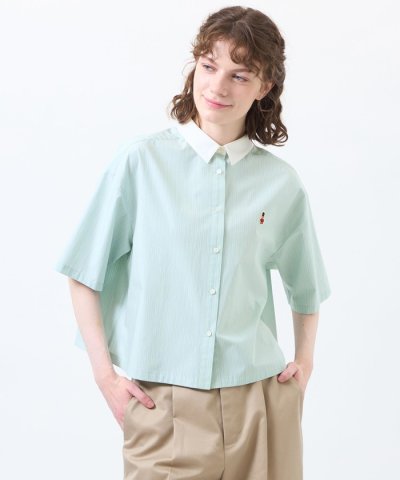 バッキンガムベア クレリックハーフスリーブシャツ