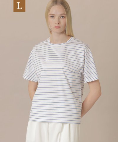 【L】【The Essential Collection】プレーティング天竺ボー