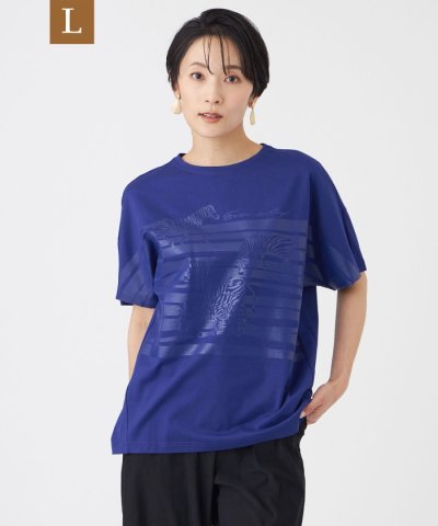 【L】【カタログ掲載・ウォッシャブル】クリアゼブラプリントカットソー