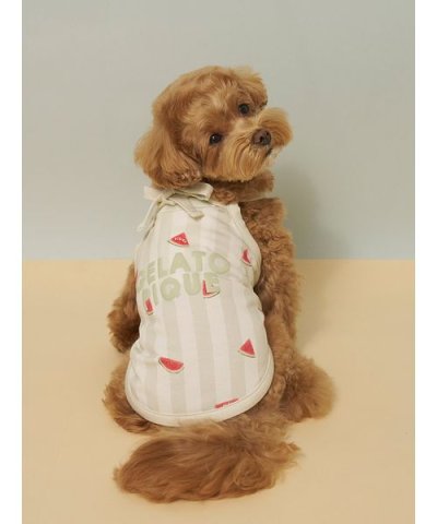 【CAT&DOG】【接触冷感】 ストライプ柄Coolingプルオーバー