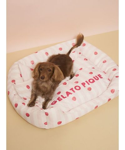 【CAT&DOG】【接触冷感】【抗菌防臭】 CoolingベッドM