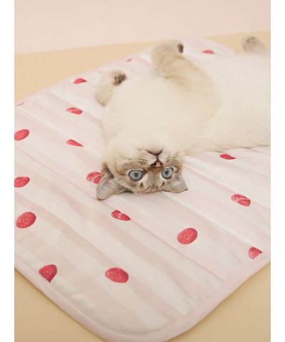【CAT&DOG】【接触冷感】【抗菌防臭】 Coolingマット