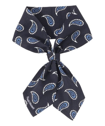 小柄ペイズリー柄クラバティーノ