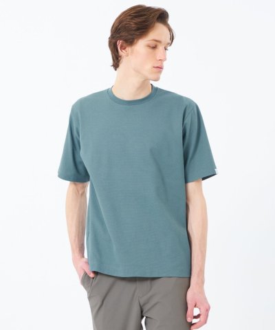 クルーネックTシャツ リンクスチェック