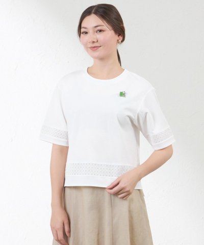 コンパクトコットン レース切替カットソー