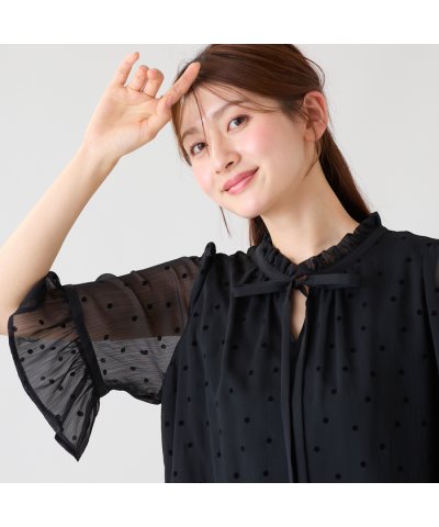ローズティアラ RoseTiara ドットフロッキーフリルブラウス