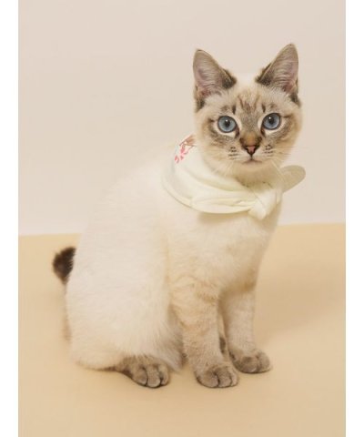 【CAT&DOG】サマーベア柄保冷剤入れバンダナ