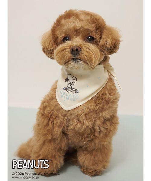 PEANUTS】【CAT&DOG】保冷剤入れバンダナ(508810694)｜阪急百貨店公式