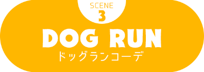 SCENE3 DOG RUN ドッグランコーデ