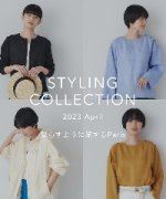 企画セクション　※～4/9