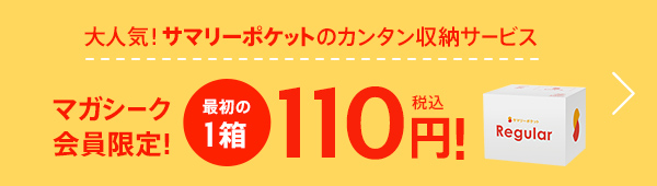 サマリーポケット