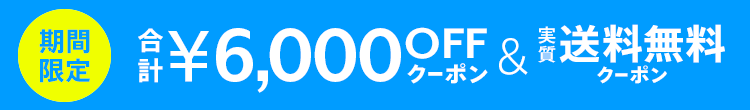 合計6,000円＋実質送料無料クーポン